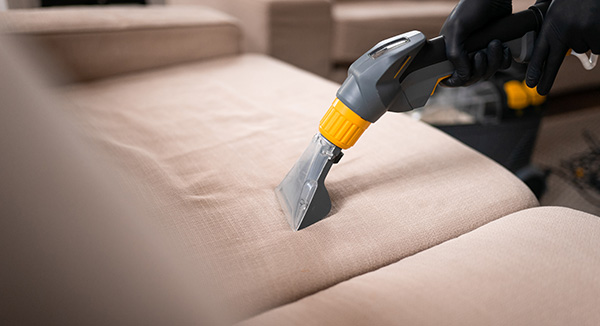 Professional Upholstery Cleaners